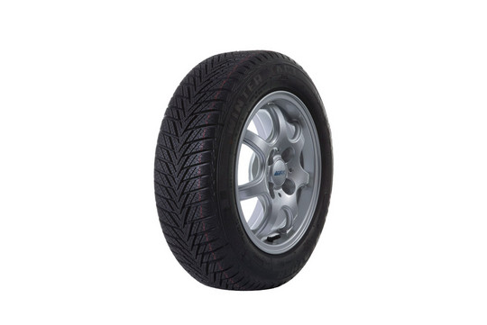 King Meiler - Winter tyres WT80+